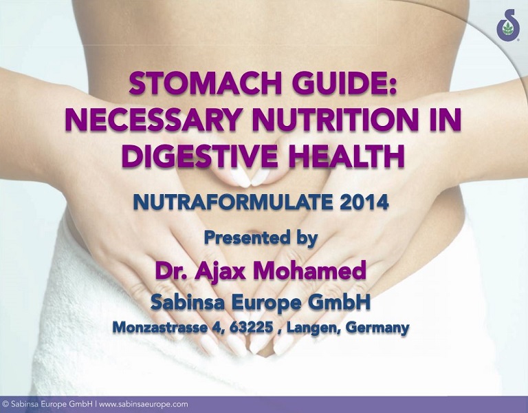 Stomach Guide: Necessary Nutrition in Digestive Health